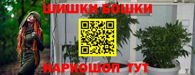 PSILOCYBIN Владивосток