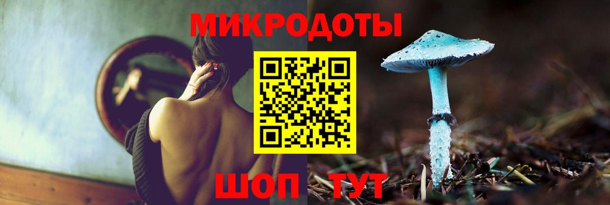 Галлюциногенные грибы Psilocybine cubensis  Вход с VPN  Грязи 